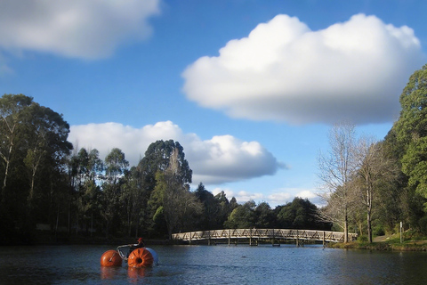 ملبورن: جولة مشاهدة البطاريق في وادي يارا مع الشوكولاتة والنبيذملبورن: جولة في بارتيج البط وشوكولا