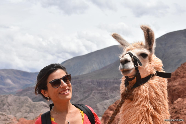 Purmamarca: Hiking with Llamas through multicolored mountains