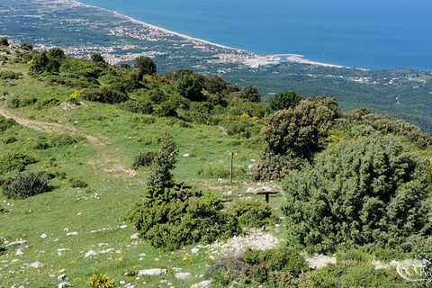 Argelès-sur-Mer: guided morning hike to the Massane tower