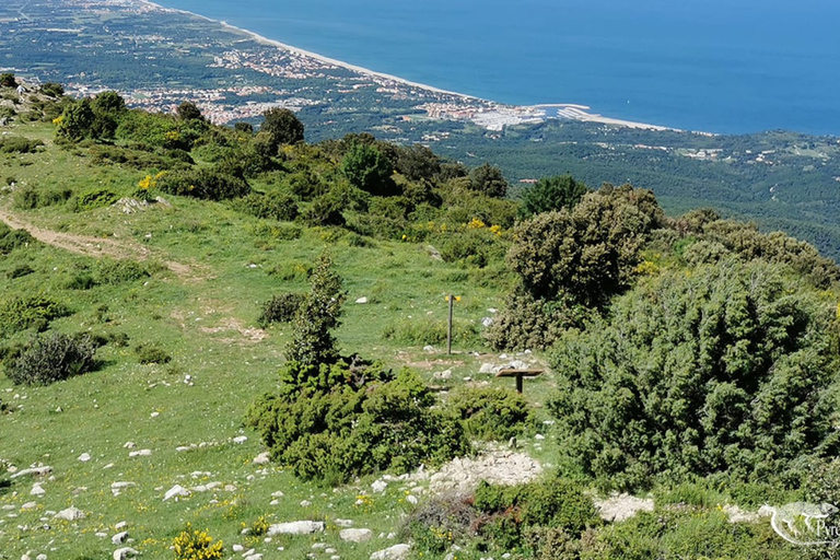 Argelès-sur-Mer: guided morning hike to the Massane tower