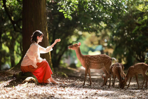 Nara: Secret Photo Tour & Deer Whisperer 3-Hour Private Photoshoot & Deer Interaction
