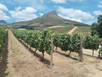 STELLENBOSCH, FRANSCHHOEK VINO DEGIFICATO E TRAM GROUP GROUP - Housity