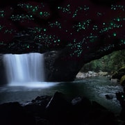 Gold Coast: Glow Worms and Stargazing Tour in Japanese