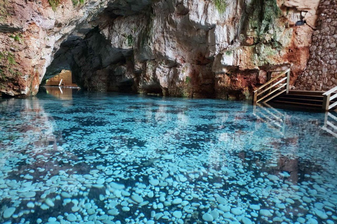 Punta Cana Adventure Park: Buggy, Zipline, Horseback, Cenote