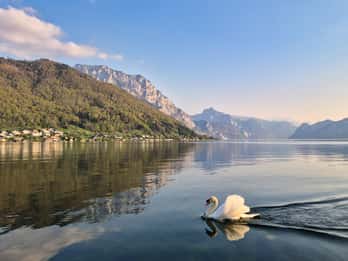 Gmunden: Guided Walking Tour