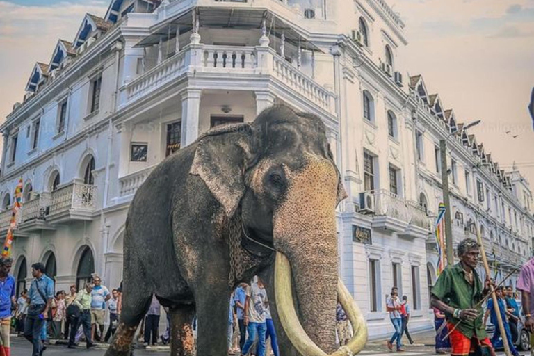 Privé transfer van Sigiriya naar Kandy met een comfortabele auto of bestelbus