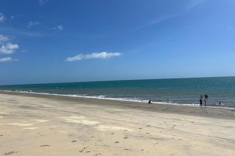 Città di Panamá: Tour guidato di un giorno