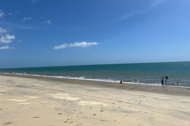 Città di Panamá: Tour guidato di un giorno