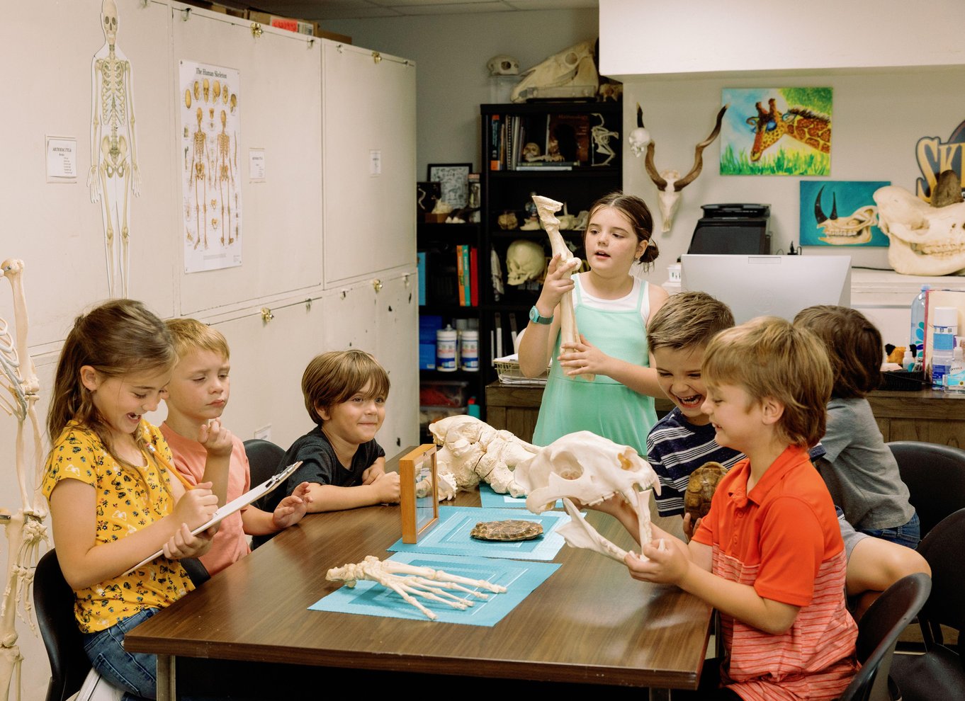 Oklahoma City: SKELETONS: Billet til Museum of Osteology