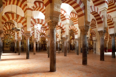 Vanuit Sevilla: dagexcursie naar Córdoba en CarmonaPrivétour