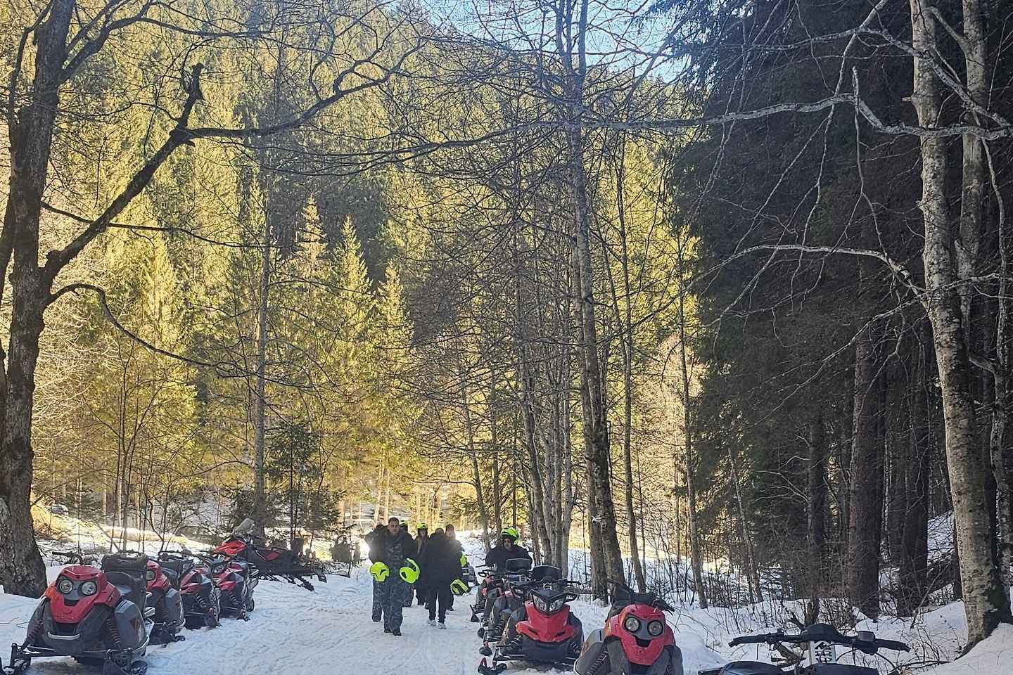 ブカレスト発カーパテイ山脈バギー・クアッドツアー