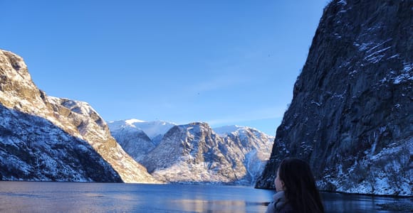 Bergen Private Tour: Nærøyfjord with Stegastein & Flåmsbana