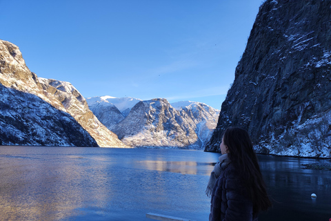 Bergen Private Tour: Nærøyfjord with Stegastein & Flåmsbana