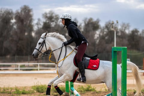 1-Hour Horseback Dubai Desert Park Ride