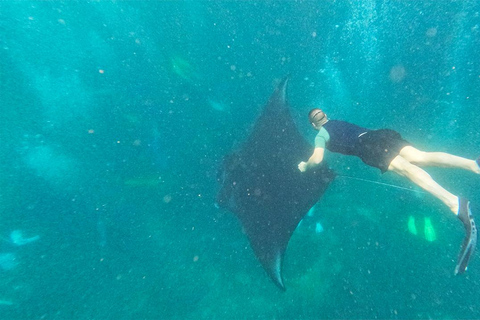 Labuan Bajo: Excursión privada de un día a Komodo con snorkel