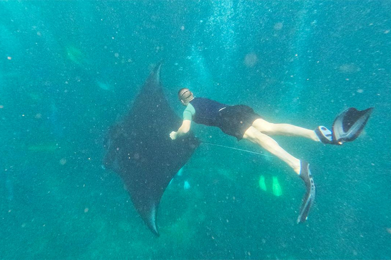 Labuan Bajo: Komodo Privat dagsutflykt med snorkling