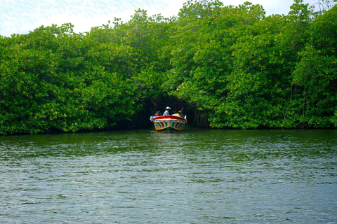 Sri Lanka: 12-dagars naturskön äventyrsresa