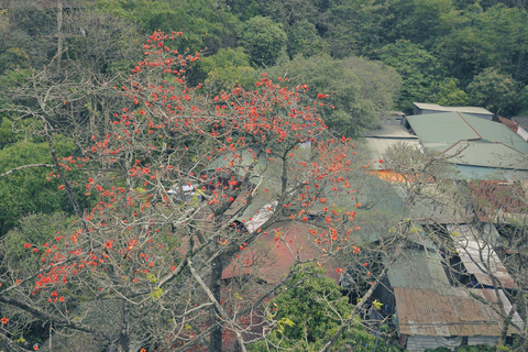Hanoi: Parfümpagode mit Bootsfahrt oder Lotus-SeidendorfPrivate Tour: Parfümpagode, Lotus-Seidendorf und Weihrauch