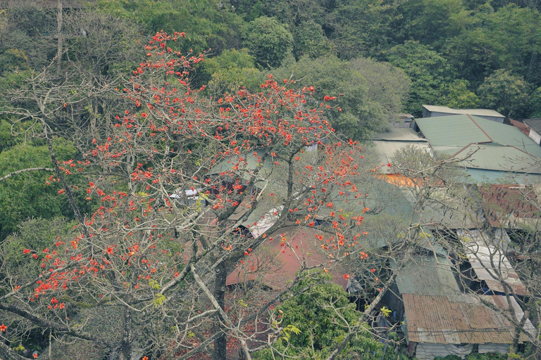 Hanoi: Parfümpagode mit Bootsfahrt oder Lotus-SeidendorfPrivate Tour: Parfümpagode, Lotus-Seidendorf und Weihrauch