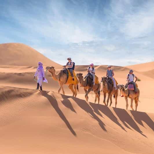 Depuis Merzouga : randonnée en chameau au coucher du soleil et aventure en sandboard. - dromadaire