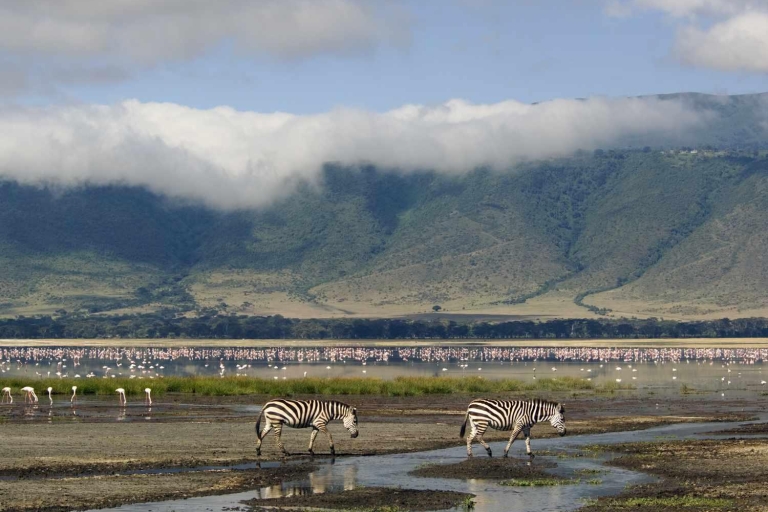 Excursión privada de un día al cráter del Ngorongoro
