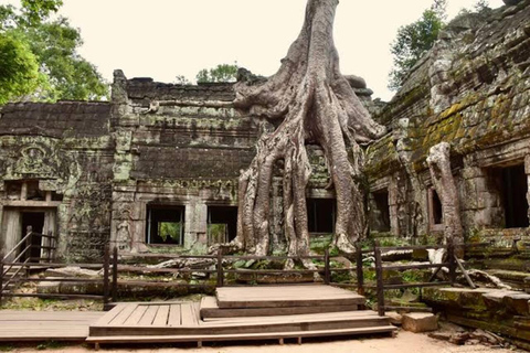 Angkor Wat & Must-See Temples Private Tour by Tuk Tuk Add Sunrise Tour Option