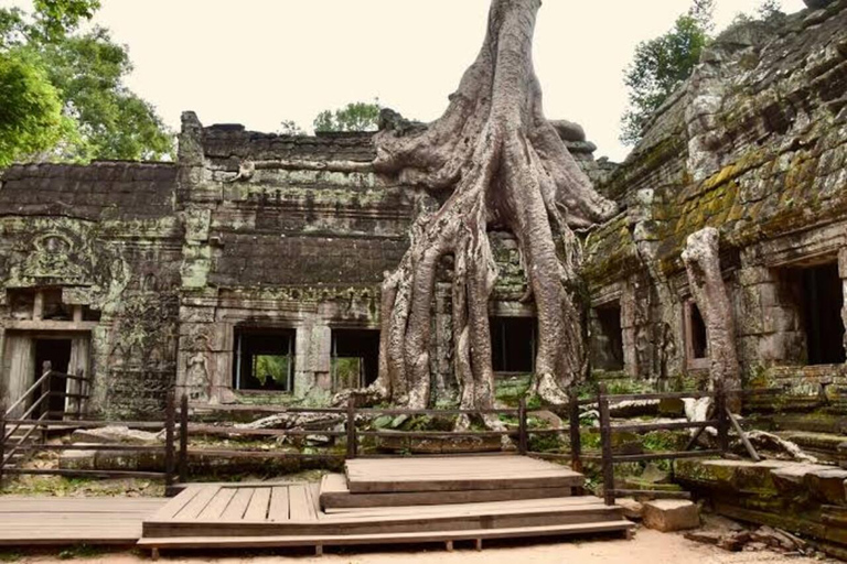 Angkor Wat & Must-See Temples Private Tour by Tuk Tuk Add Sunrise Tour Option