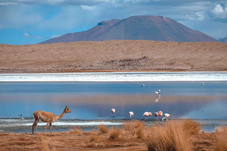 From Uyuni: 3Day Tour - Salt Flats - Finishing in San Pedro