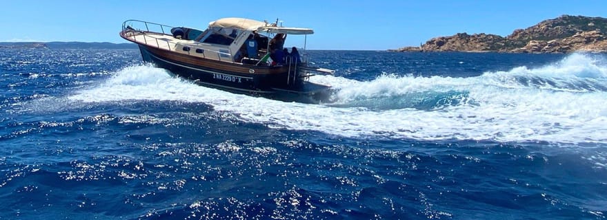 Au départ de Palau : Excursion en Corse du Sud en vedette à bois avec déjeuner