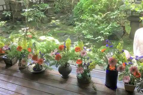 Kyoto: Ikebana (japansk blomsteroppsats)