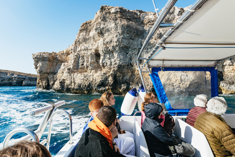 Från Malta: Gozo heldagsjeeptur med lunch och båttur