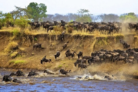 Tanzania: Escapada de luna de miel de 10 días al Serengeti y Zanzíbar