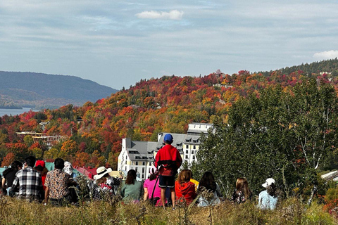 Mont-Tremblant: Private Day Trip with Treetop Walk & Gondola