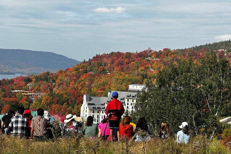 Mont-Tremblant: Private Day Trip with Treetop Walk & Gondola