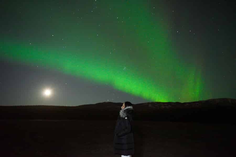 4-tägiges Winterabenteuer von Vancouver nach Whitehorse mit Flügen. Foto: GetYourGuide 4-tägiges Winterabenteuer von Vancouver nach Whitehorse mit Flügen. Foto: GetYourGuide