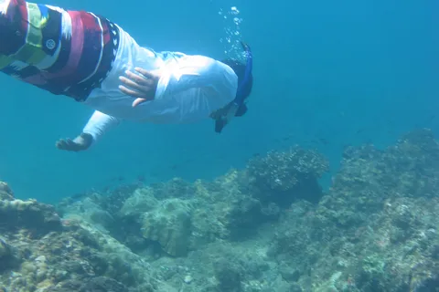 Playa Uvita: Caño Island Snorkeling Tour with Lunch