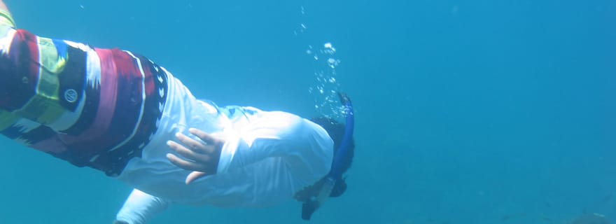 Playa Uvita : Excursion de plongée en apnée sur l'île de Caño avec déjeuner