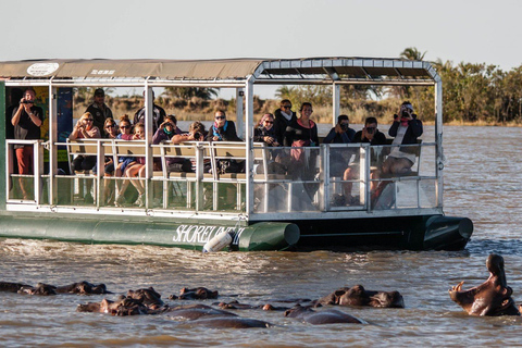 Safari di mezza giornata in barca con gli ippopotami nelle zone umide di Isimangaliso da Durban