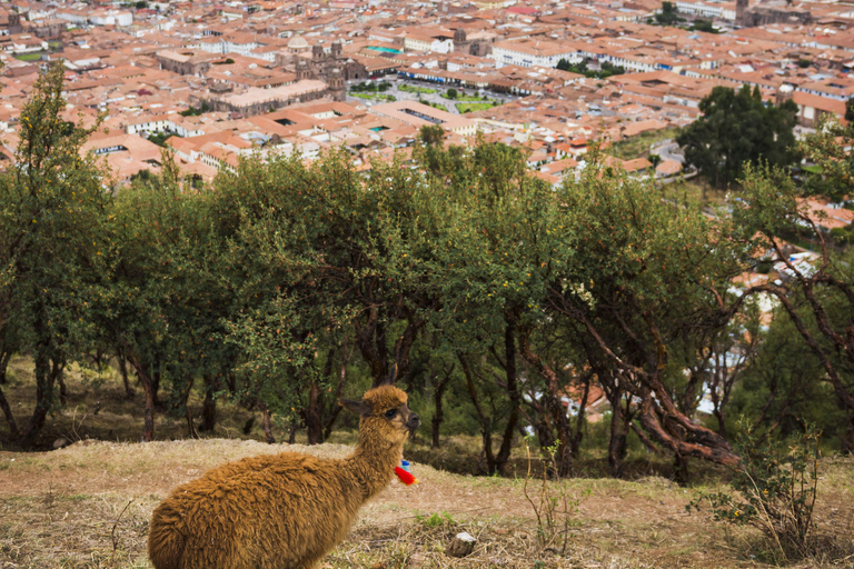 From Cusco: Horseback riding through Maras and Moray, a unique tour