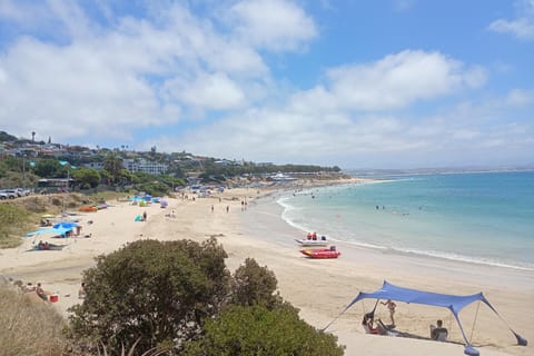 Cape Town: Multi-Day Tour with Guide and Activities