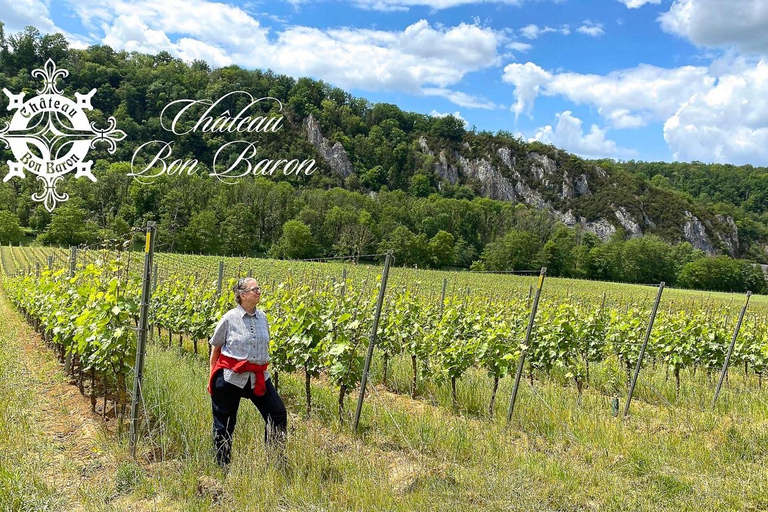 Dinant: Château Bon Baron Winery Tour with Wine Tasting