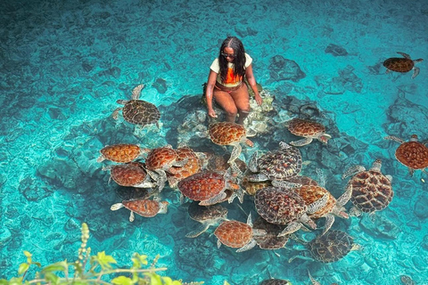 Zanzibar: las Jozani i jaskinia Salaam z odbiorem z hoteluWYCIECZKA PRYWATNA: z odbiorem z hotelu ze WSZYSTKICH HOTELI na Zanzibarze