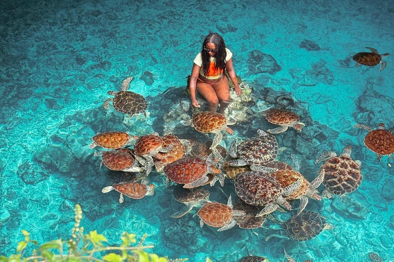 Zanzibar: las Jozani i jaskinia Salaam z odbiorem z hoteluWYCIECZKA PRYWATNA: z odbiorem z hotelu ze WSZYSTKICH HOTELI na Zanzibarze