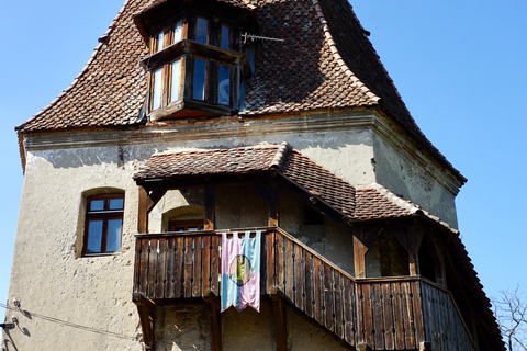 Desde Bucarest: Descubre la Transilvania medieval en una excursión de 3 días