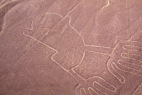 Sobrevuela las Líneas de Nazca: tour privado de día completo desde Lima.