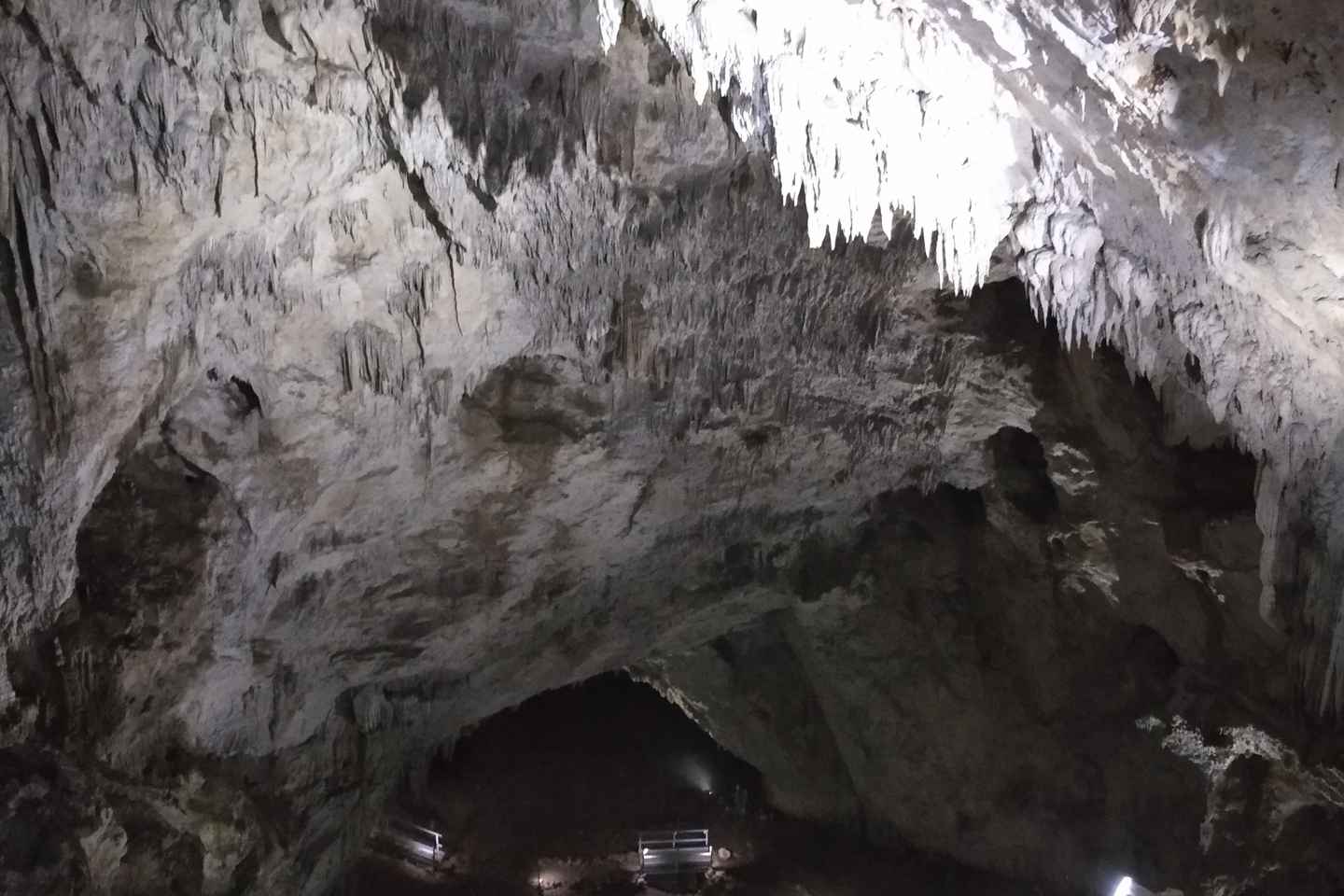 티미쇼아라: 오라데아 시티 투어 및 아푸세니 동굴 탐험 여행