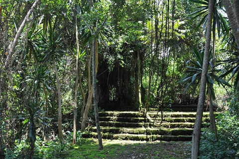 Ancient Kings, Buhanga Sacred Forest & Musanze Caves Tour