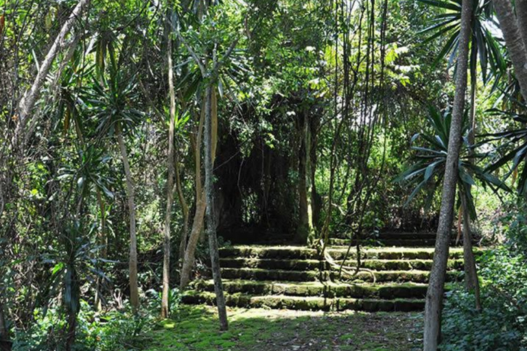 Ancient Kings, Buhanga Sacred Forest & Musanze Caves Tour