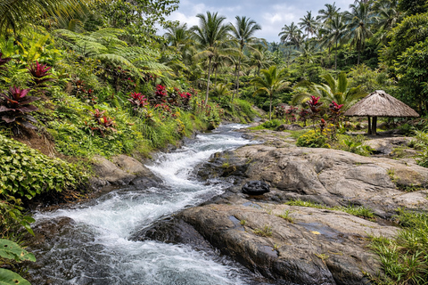 Bali: Sekumpul Waterfall With Waterslide & Rice Terrace Trek Group Tour with Hotel Transfer in Central Bali Area