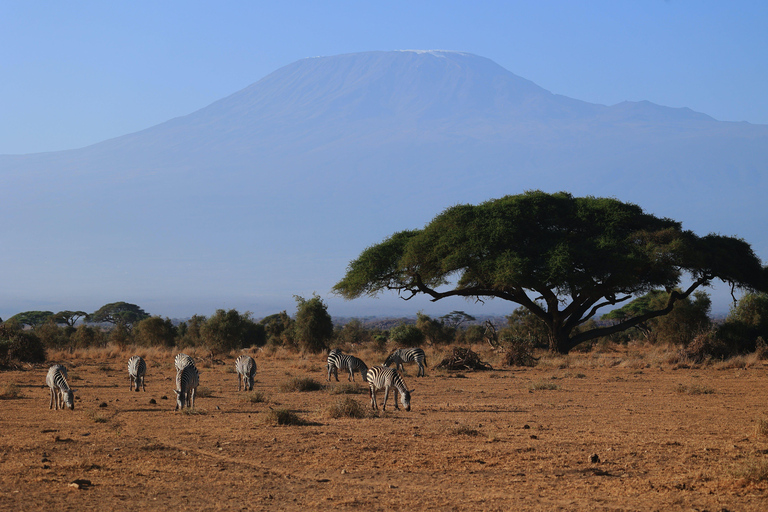 3 jours de safari de luxe dans le parc d'Amboseli et vol en montgolfière